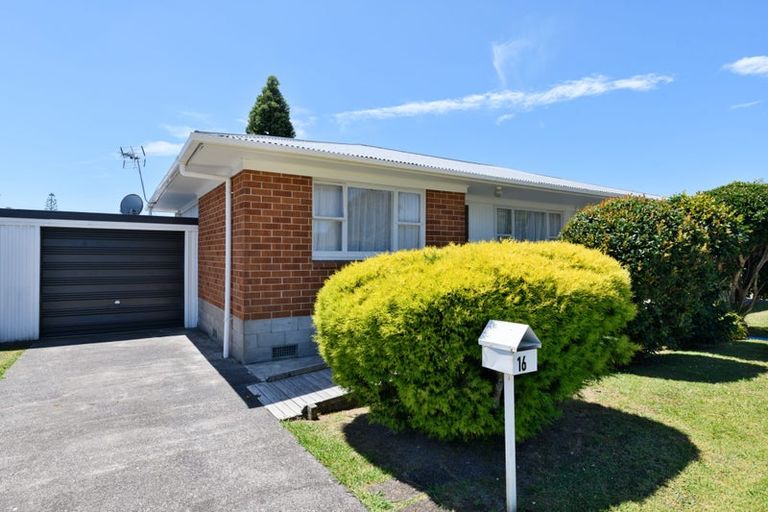 Photo of property in 16 Abel Tasman Avenue, Henderson, Auckland, 0610