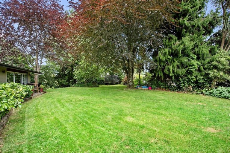 Photo of property in 255 Bankwood Road, Chartwell, Hamilton, 3210