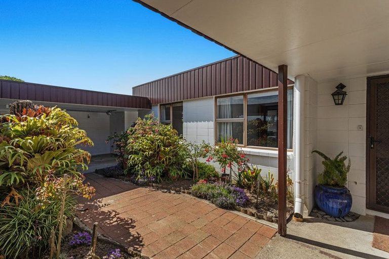 Photo of property in 15 Hikurangi Street, Whakatane, 3120