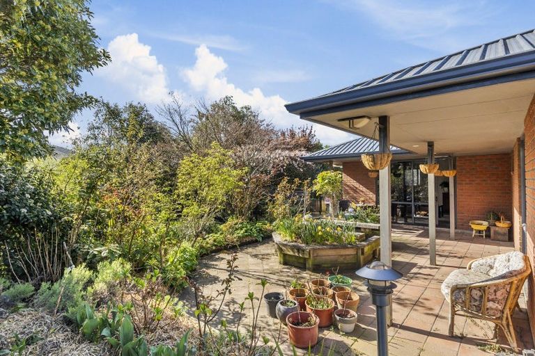 Photo of property in 1 Pratt Street, Waikouaiti, 9510