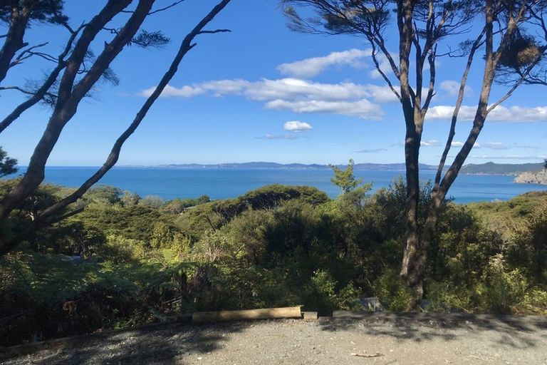 Photo of property in 455 Tuateawa Road, Tuateawa, Coromandel, 3583