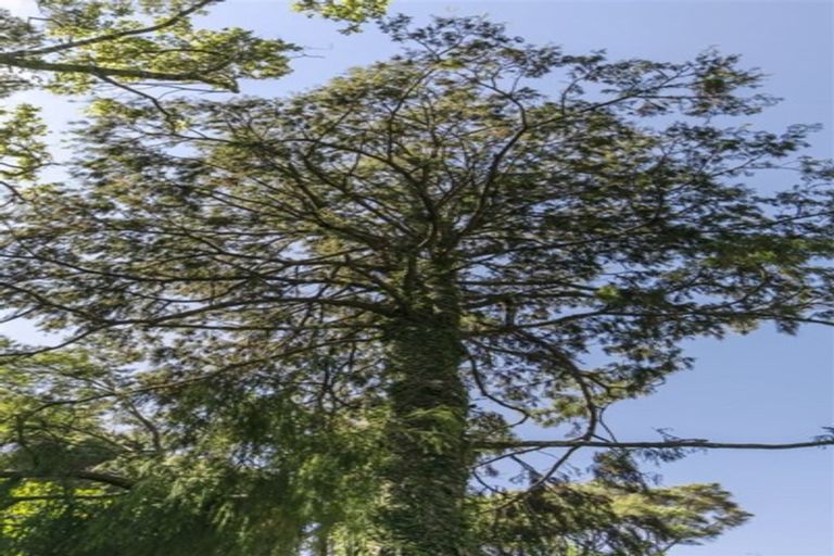 Photo of property in 747 Scenic Drive, Henderson Valley, Auckland, 0612