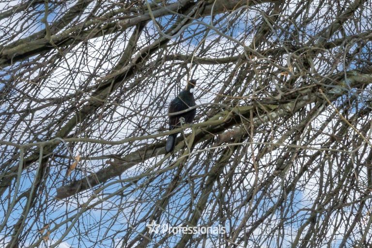 Photo of property in 21 Exchange Street, Ebdentown, Upper Hutt, 5018