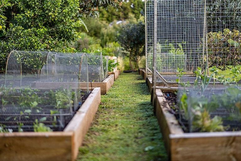 Photo of property in 71 Riddell Road, Kerikeri, 0230