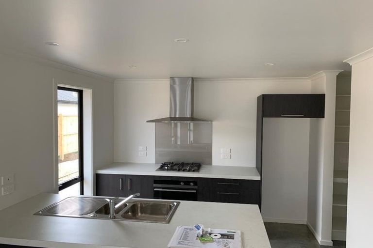 Photo of property in 30 Ladeira Place, Fitzroy, Hamilton, 3206