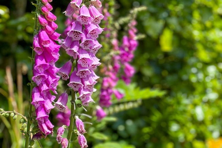 Photo of property in 45 Wordsworth Street, Leamington, Cambridge, 3432