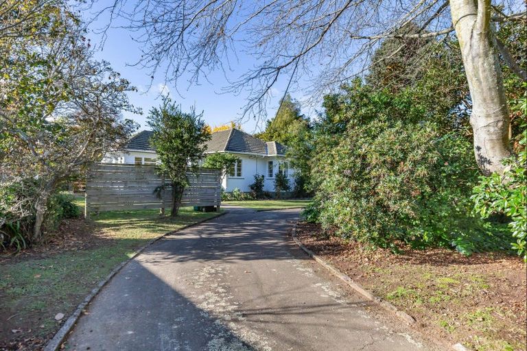 Photo of property in 29 Macarthur Street, Levin, 5510