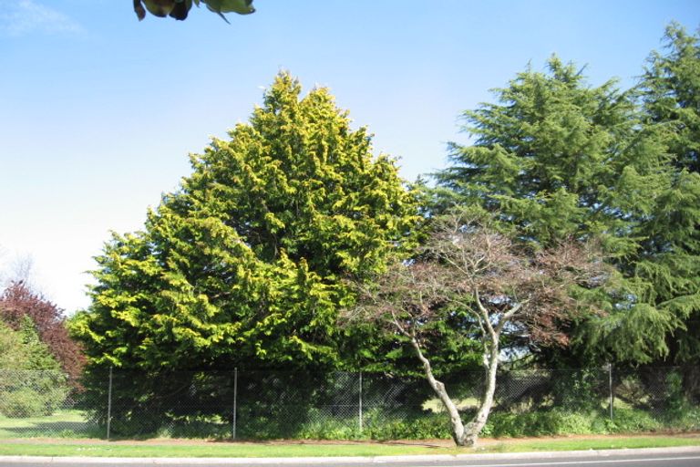 Photo of property in 113 Ranolf Street, Glenholme, Rotorua, 3010