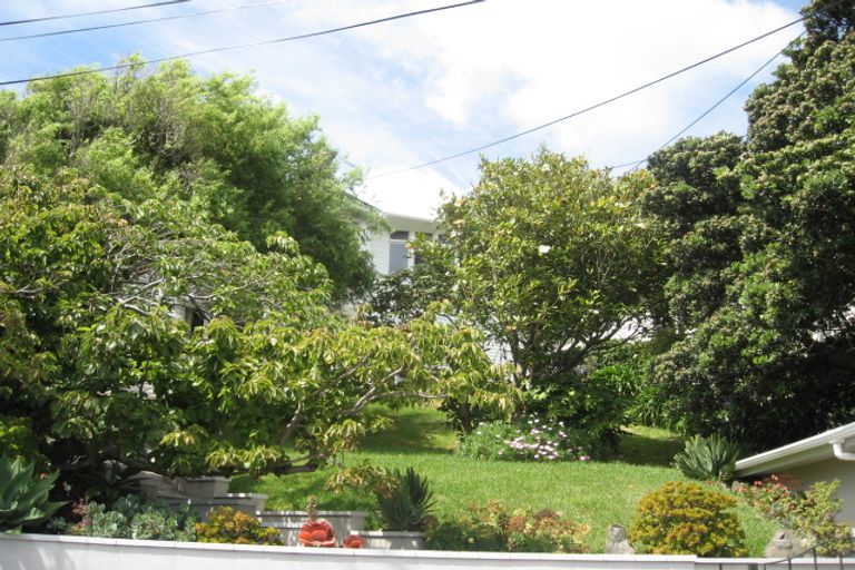 Photo of property in 25 Waipapa Road, Hataitai, Wellington, 6021
