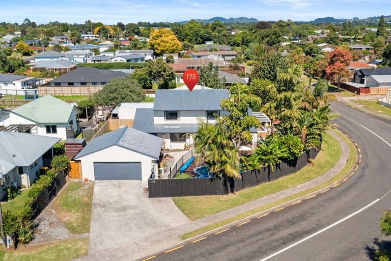 Photo of property in 175 Cameron Road, Te Puke, 3119