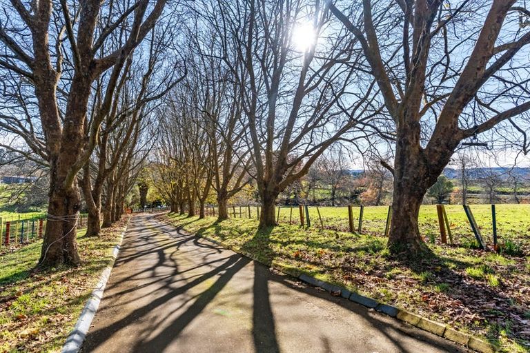 Photo of property in 679 Runciman Road, Runciman, Drury, 2578