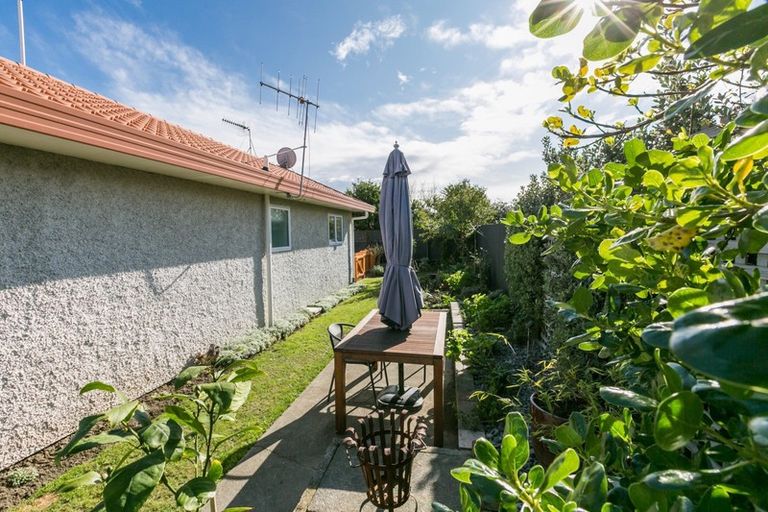 Photo of property in 26 Bedford Road, Marewa, Napier, 4110