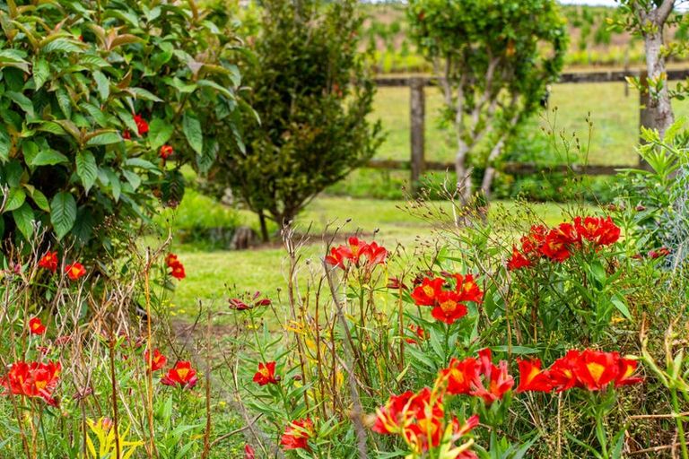 Photo of property in 4317 State Highway 12, Aranga, Dargaville, 0376