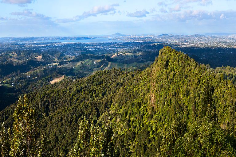 Photo of property in 166 Opanuku Road, Henderson Valley, Auckland, 0612