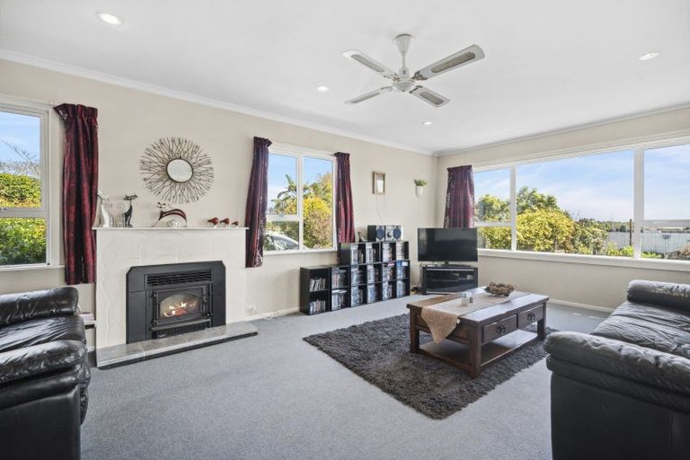 Photo of property in 17 Kimberley Road, Levin, 5571