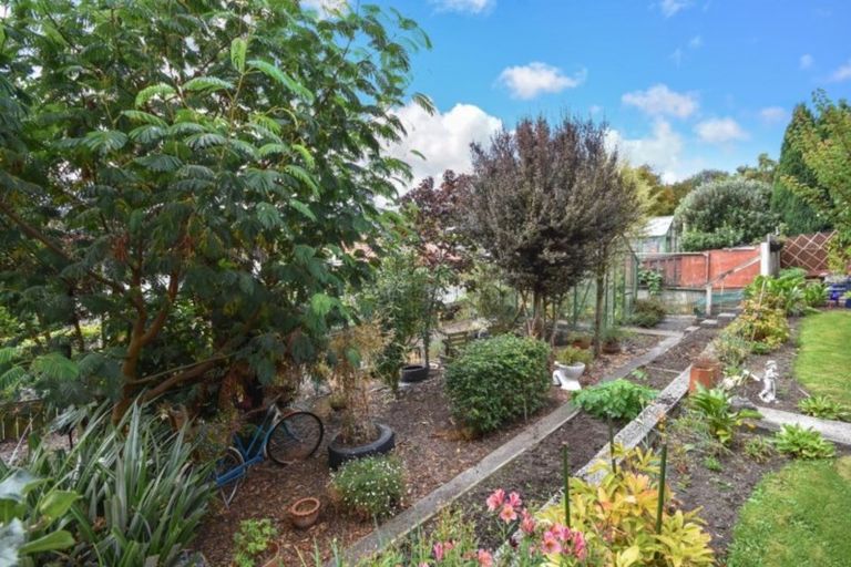 Photo of property in 49 Silverton Street, Andersons Bay, Dunedin, 9013