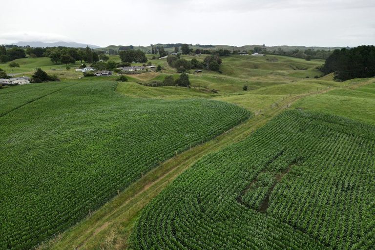 Photo of property in 69 Overdale Road, Putaruru, 3411