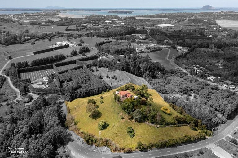 Photo of property in 473 Old Highway, Whakamarama, Tauranga, 3180