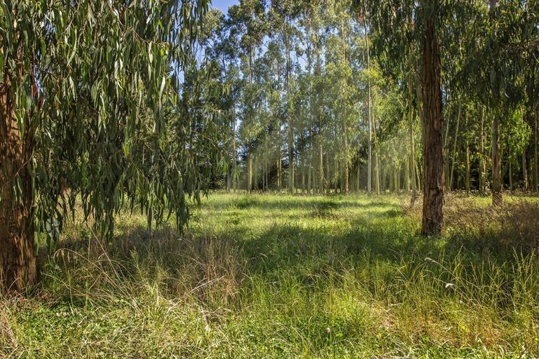 Photo of property in 210 Hororata Dunsandel Road, Dunsandel, Leeston, 7682