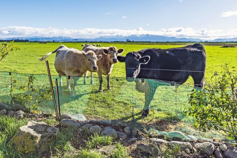 Photo of property in 652 Homebush Road, Darfield, Christchurch, 7671