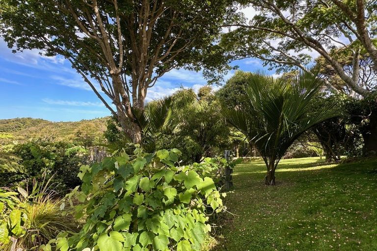 Photo of property in 125c Sailors Grave Road, Pumpkin Hill, Whitianga, 3591
