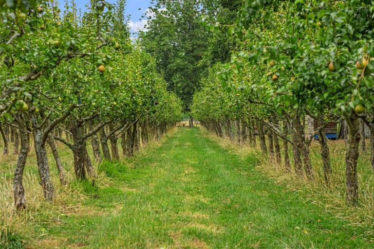 Photo of property in 96 Berquist Road, Ohaupo, 3881