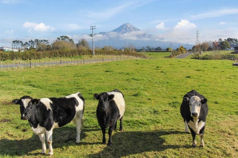 Photo of property in 220 York Road, Midhirst, Stratford, 4394