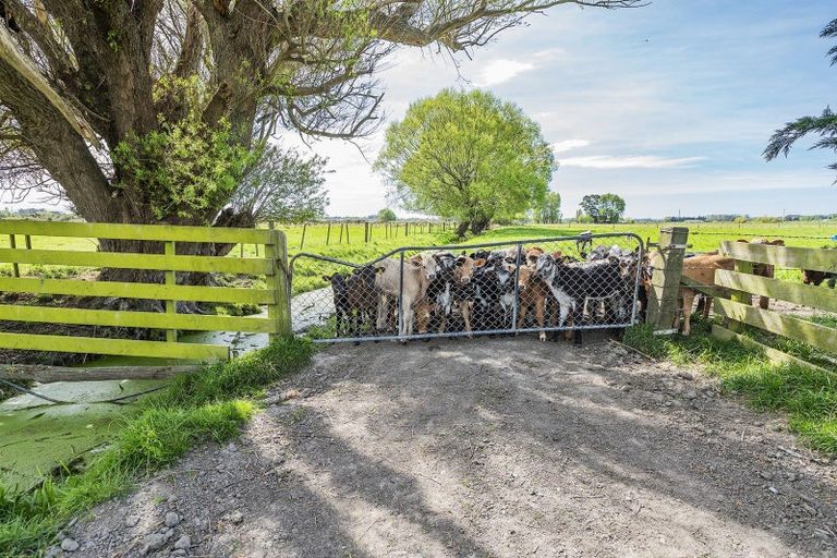 Photo of property in 41 Poplar Lane, Lincoln, Christchurch, 7674