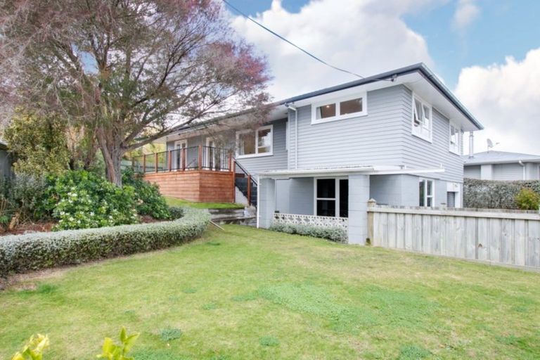 Photo of property in 31 Given Street, Havelock North, 4130