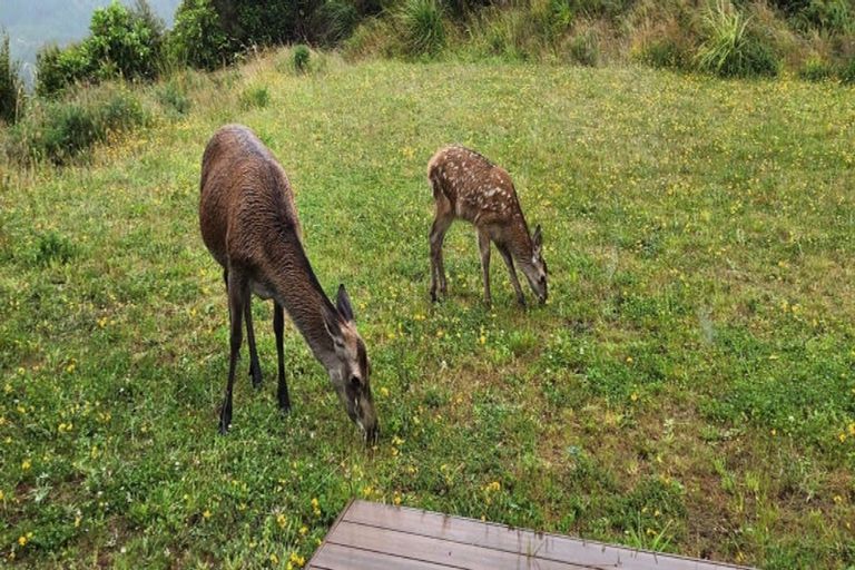 Photo of property in 51 Crest Road, Akatarawa, Upper Hutt, 5372