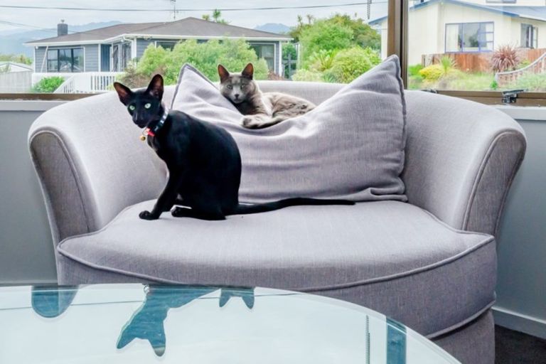 Photo of property in 23b Francis Road, Paraparaumu Beach, Paraparaumu, 5032