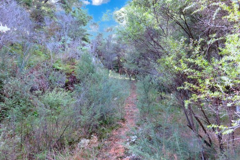 Photo of property in Kaihu Wood Road, Kaihu, Dargaville, 0379