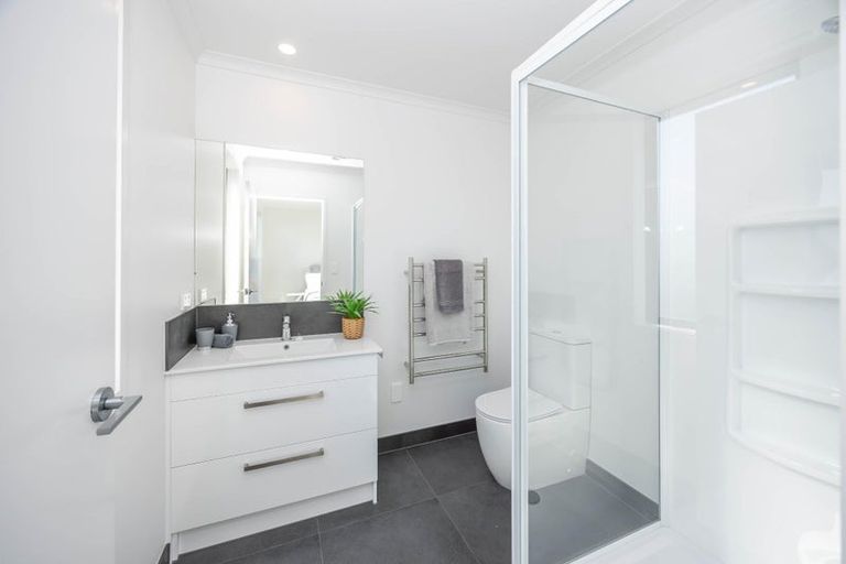 Photo of property in 52 Musselwhite Terrace, Chartwell, 3210