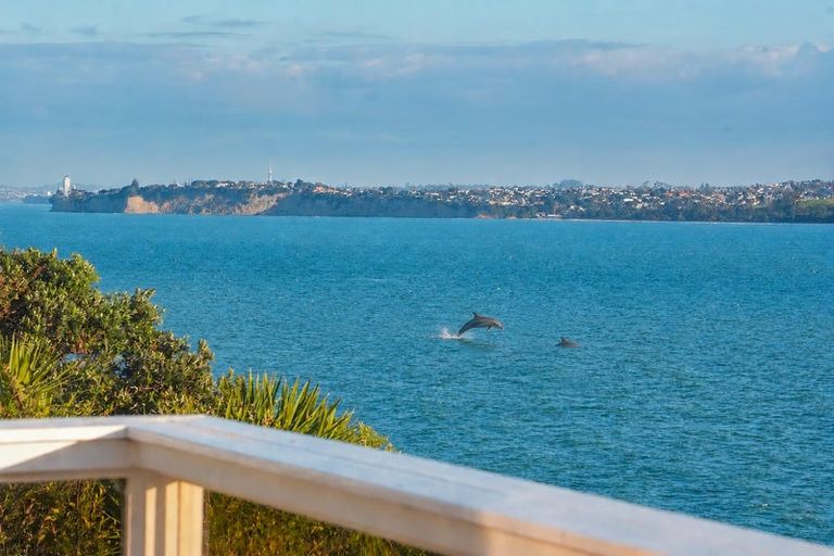 Photo of property in 819 Whangaparaoa Road, Manly, Whangaparaoa, 0930