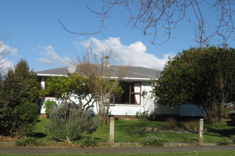 Photo of property in 17 Matai Street, Levin, 5510