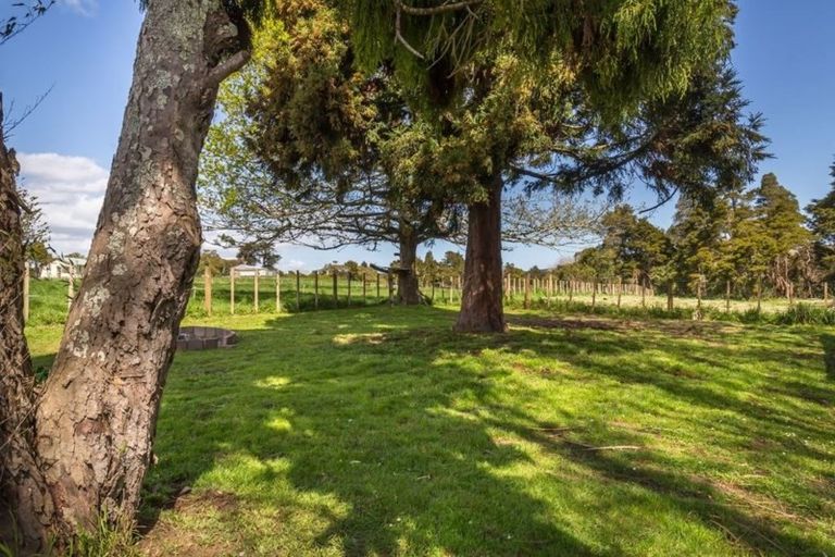 Photo of property in 877 Kahikatea Flat Road, Waitoki, Kaukapakapa, 0871