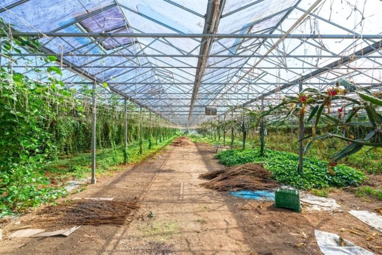 Photo of property in 300 State Highway 16, Kumeu, 0892