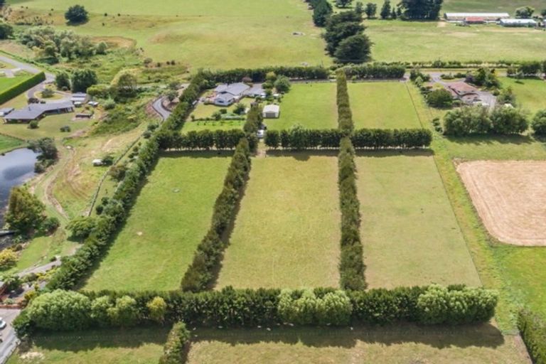 Photo of property in 290 Heatherlea Road East, Levin, 5571