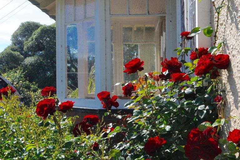 Photo of property in 393 Pukeuri-oamaru Road, Pukeuri, Oamaru, 9493