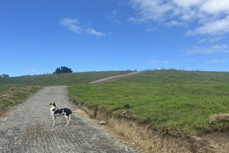 Photo of property in 492 Wairere Road, Paparoa, 0571