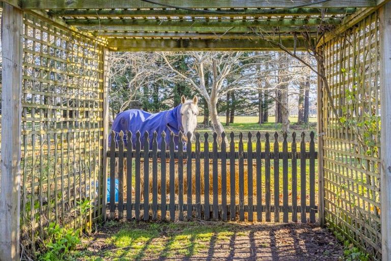 Photo of property in 5 Sydney Street, Takapau, 4203