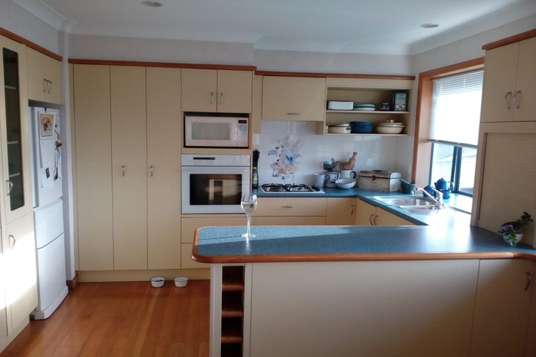 Photo of property in 19a Vine Avenue, Maungatapu, Tauranga, 3112