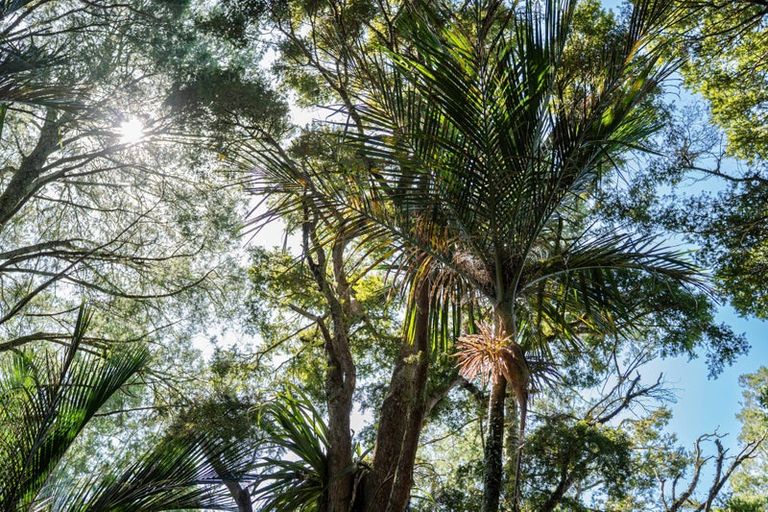 Photo of property in 149 Whaka Street, Maungaturoto, 0583