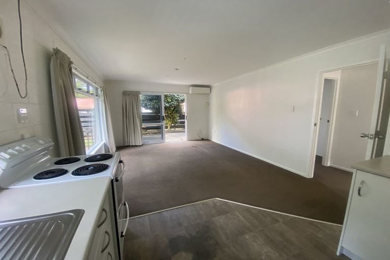 Photo of property in 1/17 Wellington Street, Hamilton East, Hamilton, 3216