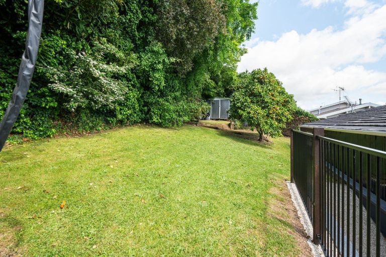 Photo of property in 17 Hazelwood Avenue, Dinsdale, Hamilton, 3204