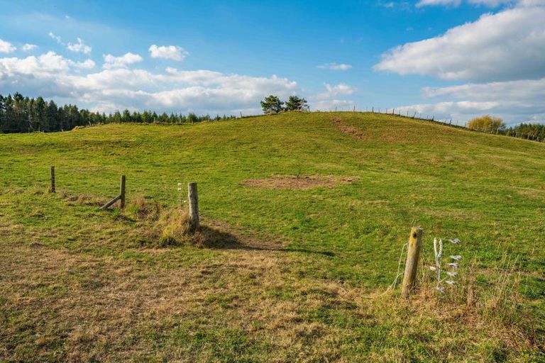 Photo of property in 65 Palmer Mill Road, Wairakei, Taupo, 3384