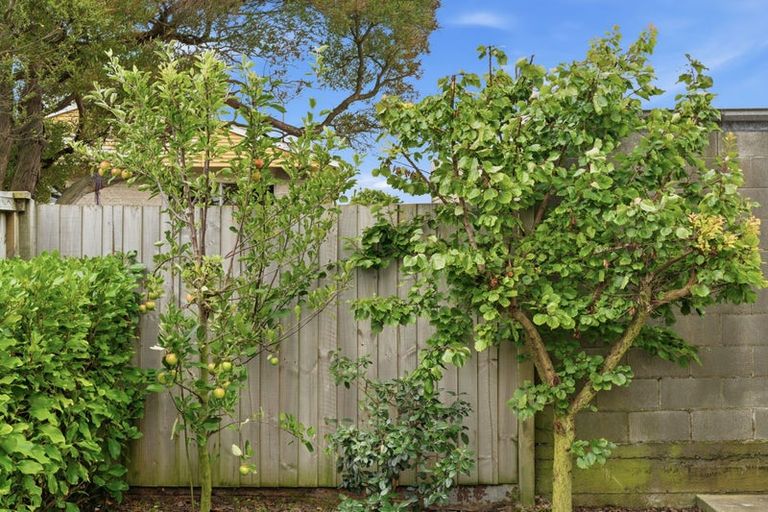 Photo of property in 7 Ettrick Lane, Richmond, Christchurch, 8013