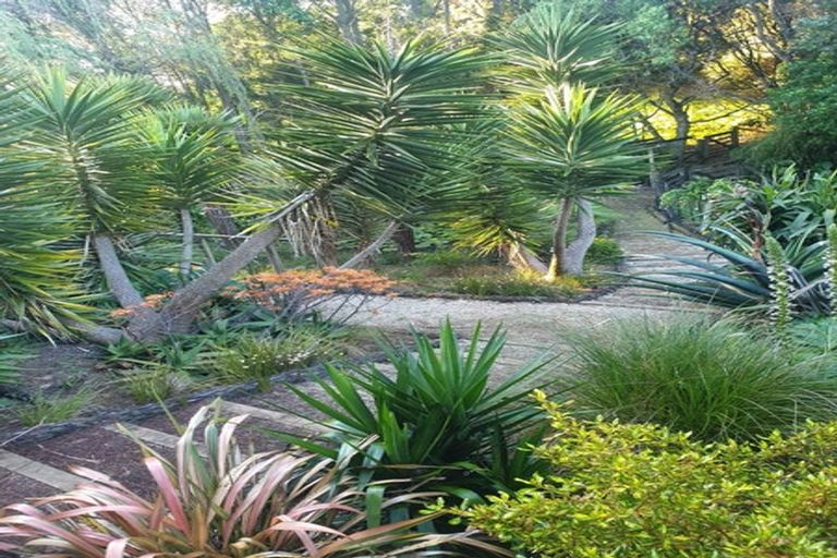 Photo of property in 165 Buckville Road, Buckland, Pukekohe, 2677