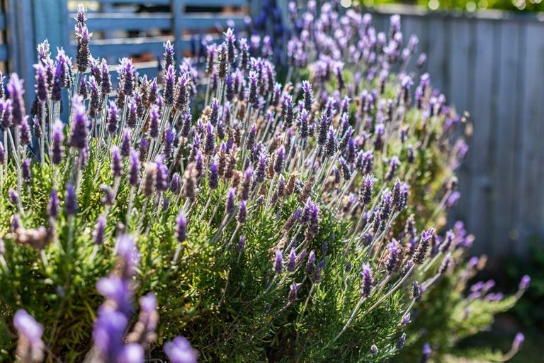 Photo of property in 25 Kahurangi Heights, Aotea, Porirua, 5024