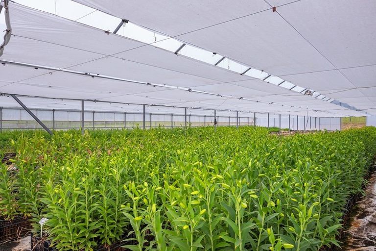 Photo of property in 198c Devich Road, Mangawhai, Wellsford, 0975